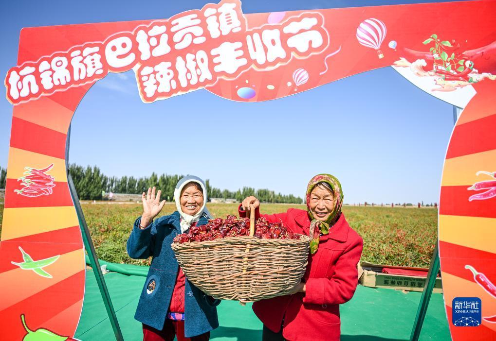 5376登陆平台